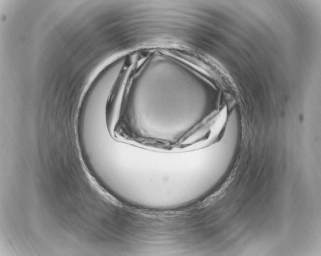X0000085320942200704092345