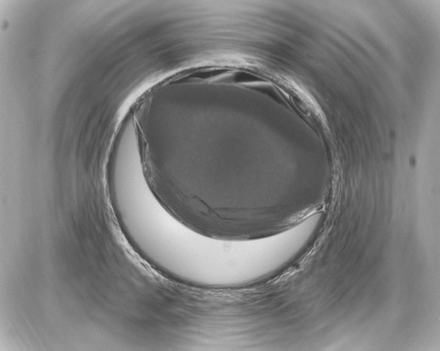 X0000085320944200704092345