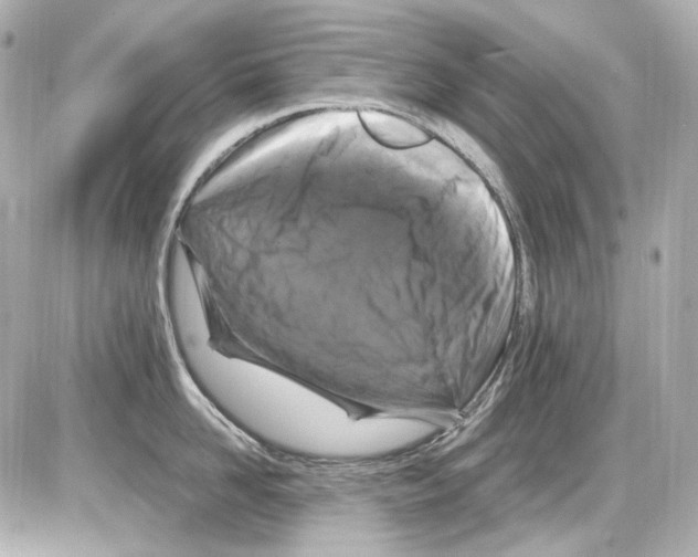 X0000085320958200704092345