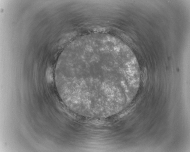 X0000085320962200704092344