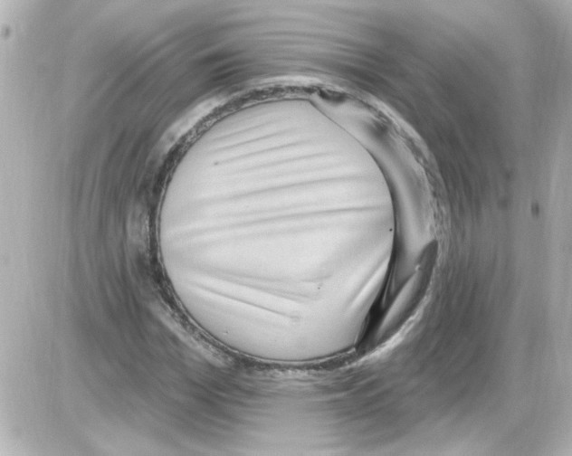 X0000085320969200704092344