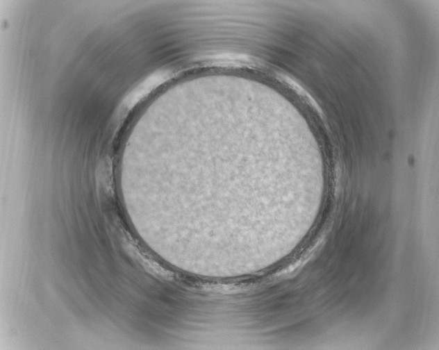 X0000085320970200704092344