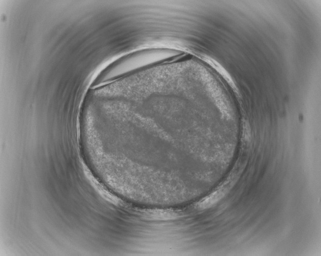 X0000085320980200704092344