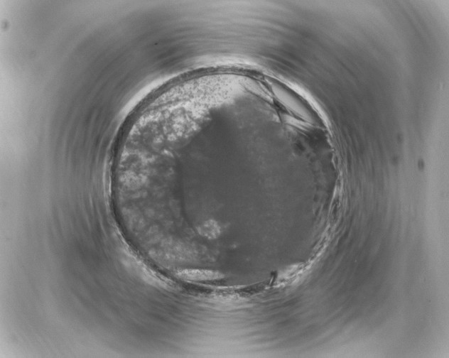 X0000085320983200704092344