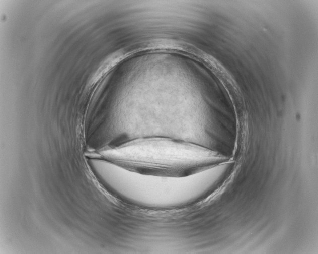 X0000085320985200704092344