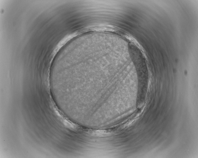 X0000085320986200704092344