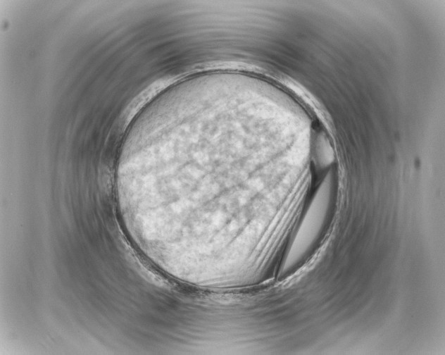 X0000085320993200704092344