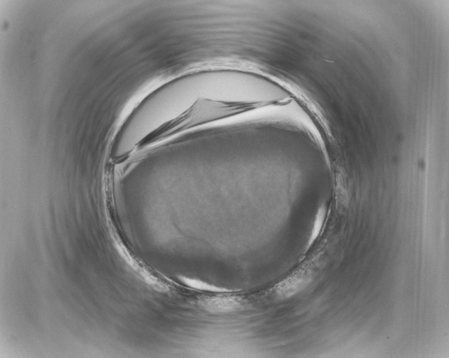 X0000085320998200704092344