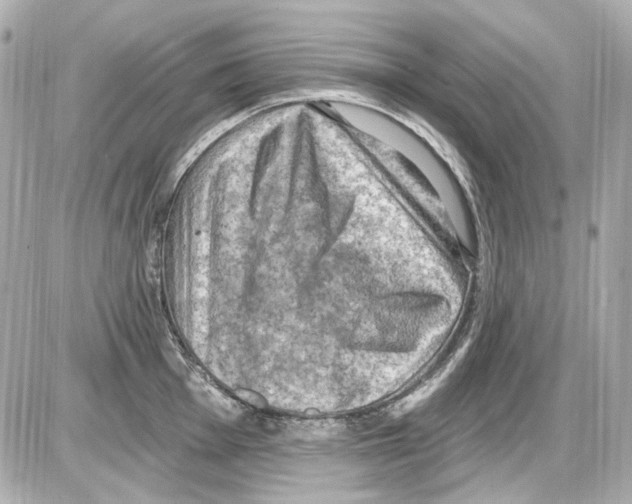 X0000085321001200704092344