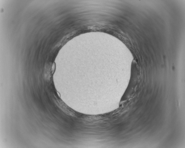 X0000085321012200704092343