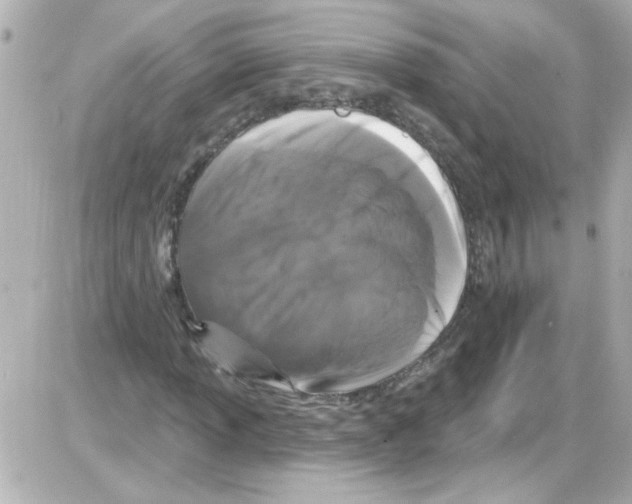 X0000085321013200704092343