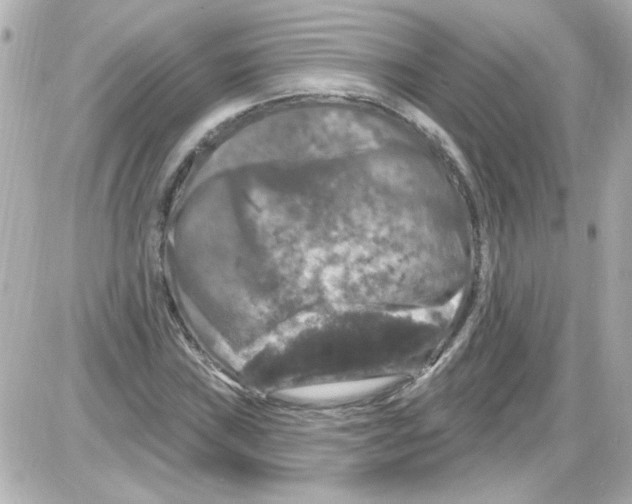 X0000085321019200704092343