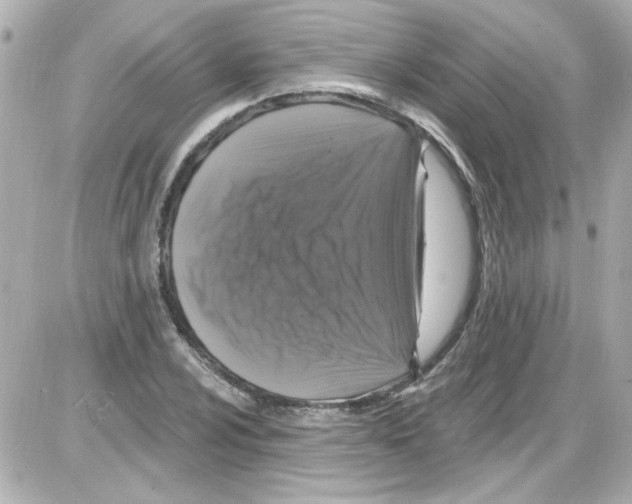 X0000085321024200704092343