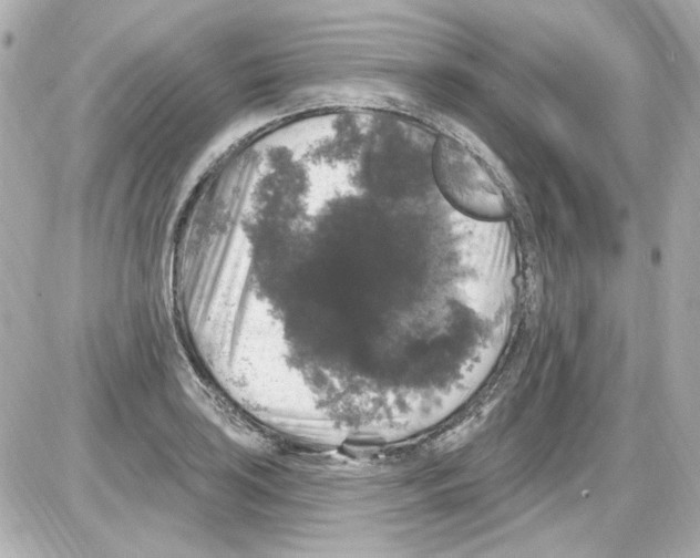 X0000085321035200704092343