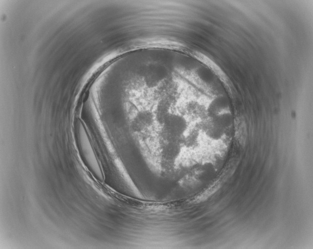 X0000085321043200704092343