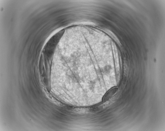 X0000085321044200704092343