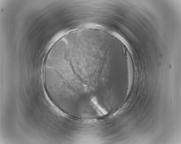 X0000085321055200704092344
