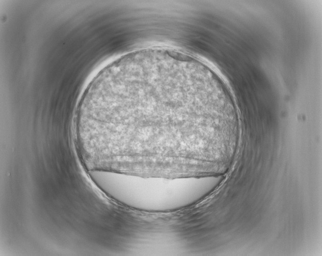 X0000085321056200704092344