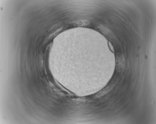 X0000085321058200704092343