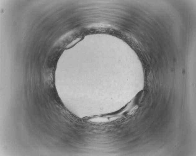 X0000085321062200704092343