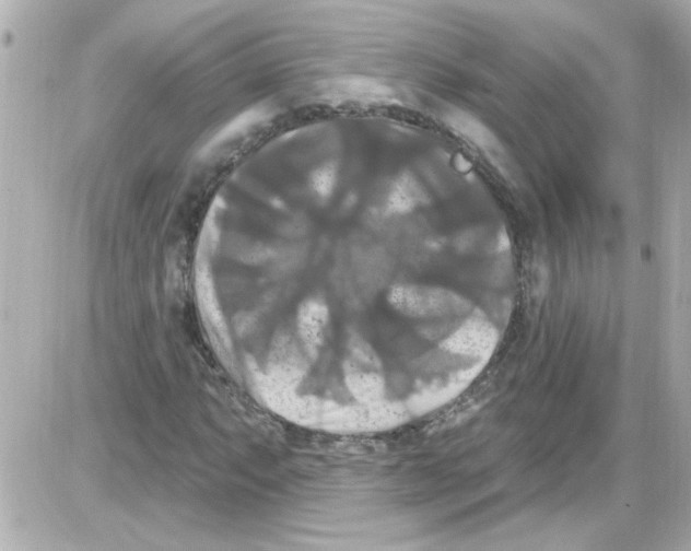 X0000085321063200704092343