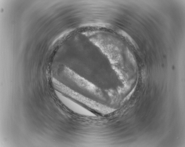 X0000085321064200704092343