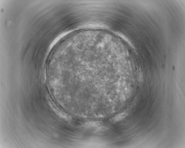 X0000085321078200704092343