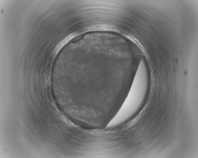 X0000085321081200704092342