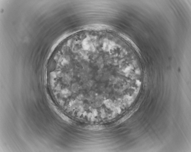 X0000085321083200704092342