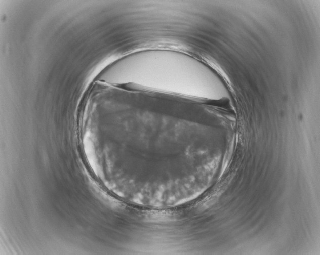 X0000085321087200704092342