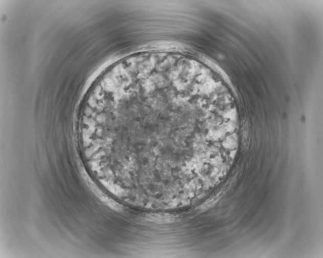 X0000085321091200704092342