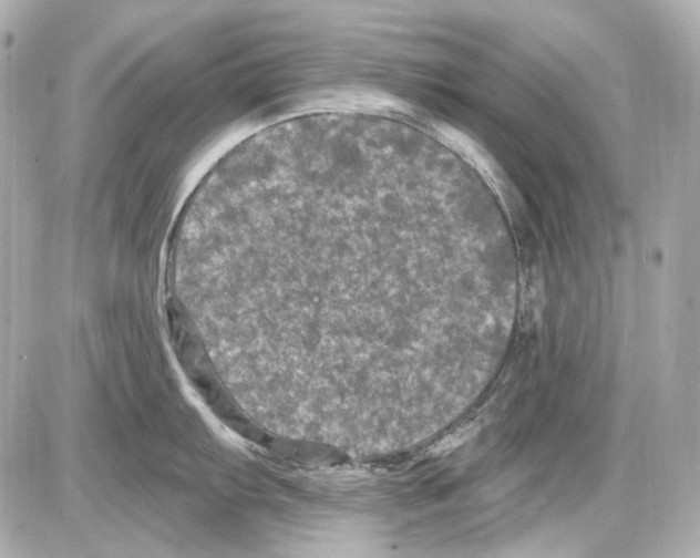 X0000085321103200704092342