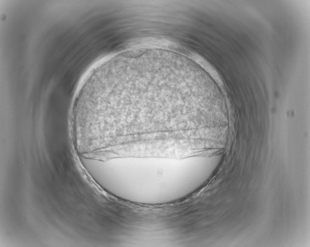X0000085321104200704092342