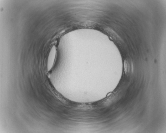 X0000085321107200704092341