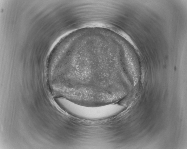 X0000085321116200704092341