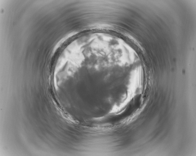 X0000085321117200704092342