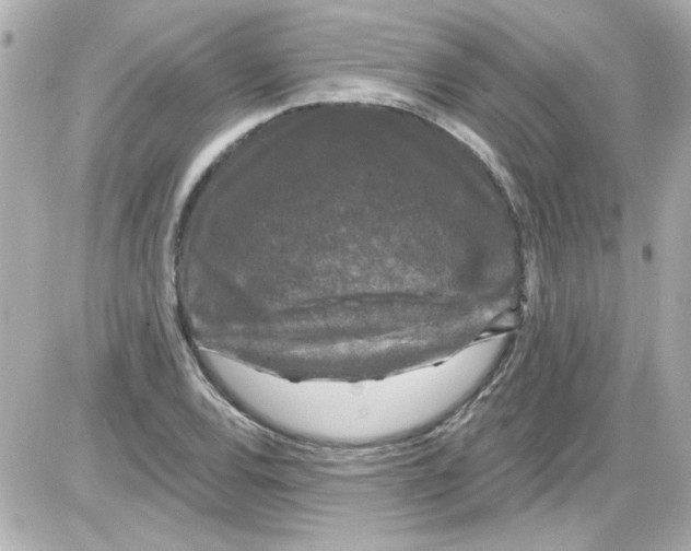 X0000085321120200704092342
