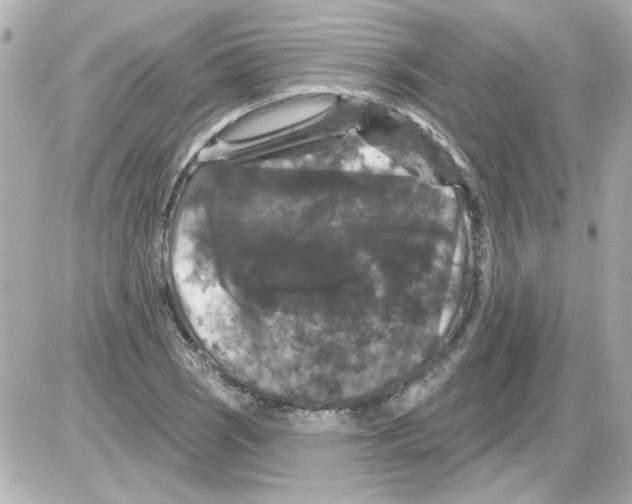 X0000085321121200704092342