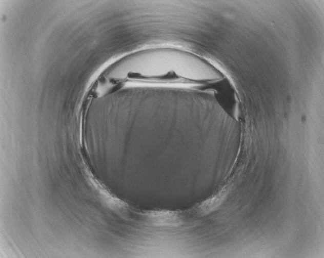 X0000085321127200704092342