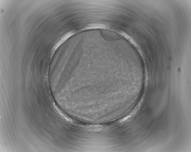 X0000085321137200704092342