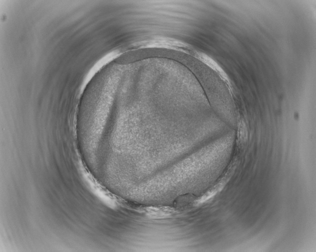 X0000085321138200704092342