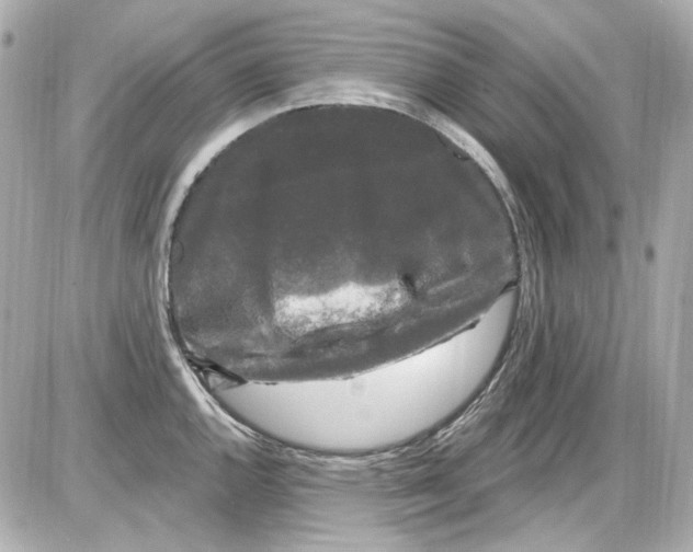 X0000085321144200704092342