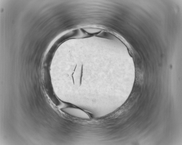 X0000085321148200704092342