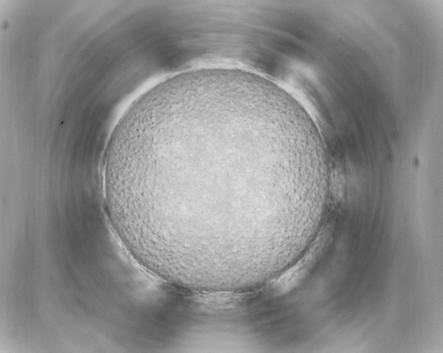 X0000085321150200704092342