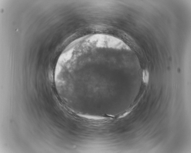 X0000085321155200704092341