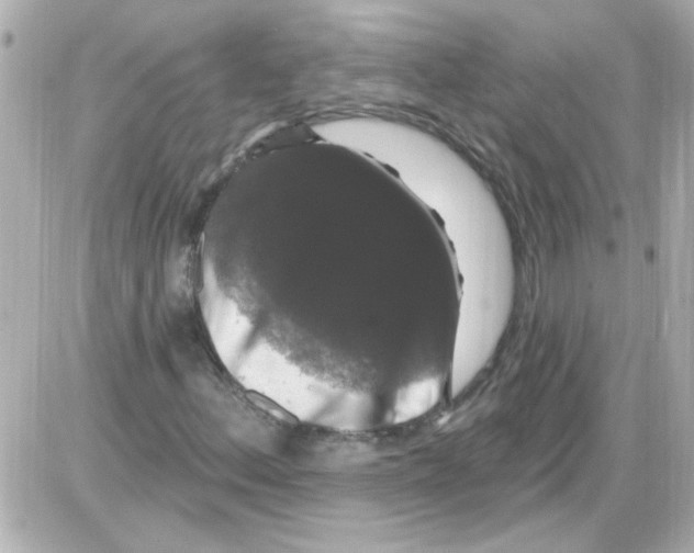 X0000085321156200704092341