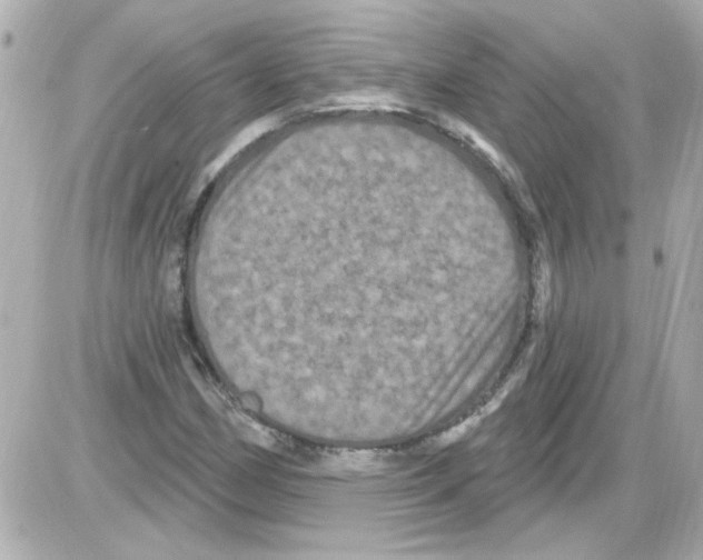X0000085321162200704092341