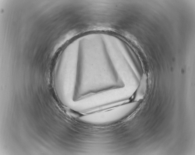 X0000085321165200704092341