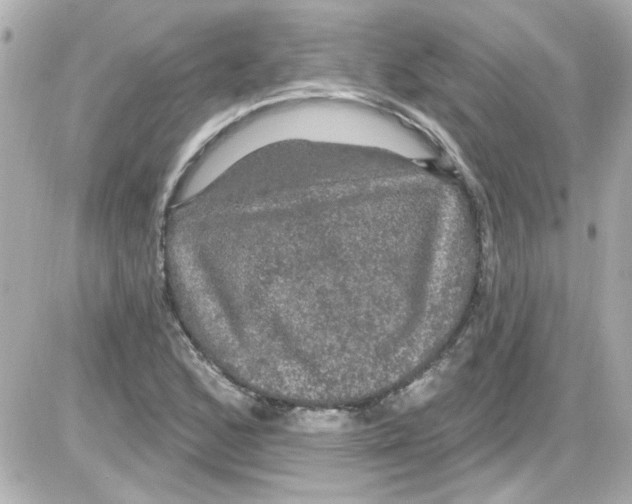 X0000085321168200704092341