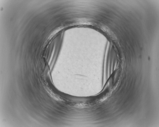 X0000085321169200704092341